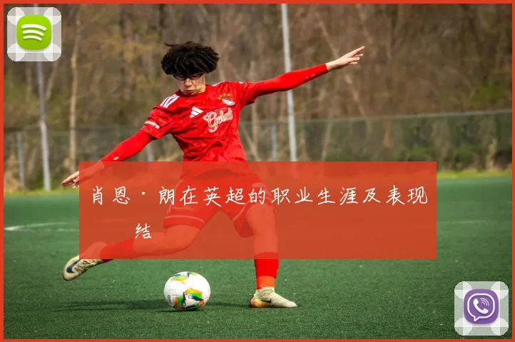 肖恩·朗在英超的职业生涯及表现总结