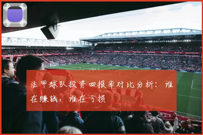 法甲球队投资回报率对比分析：谁在赚钱，谁在亏损