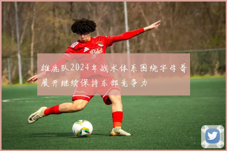 雄鹿队2024年战术体系围绕字母哥展开继续保持东部竞争力