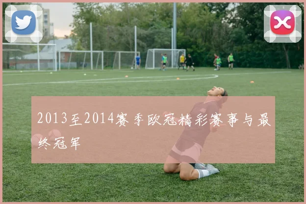 2013至2014赛季欧冠精彩赛事与最终冠军