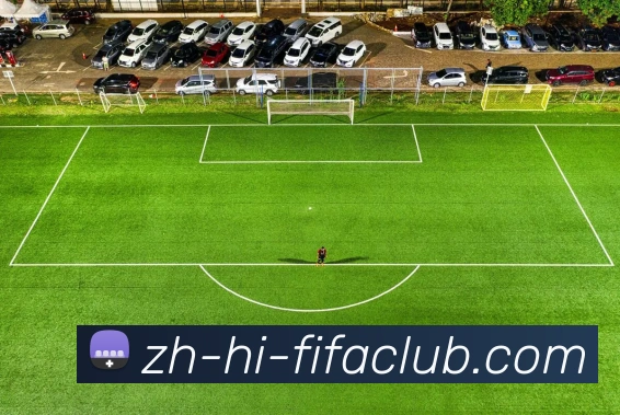 数据防护可视化